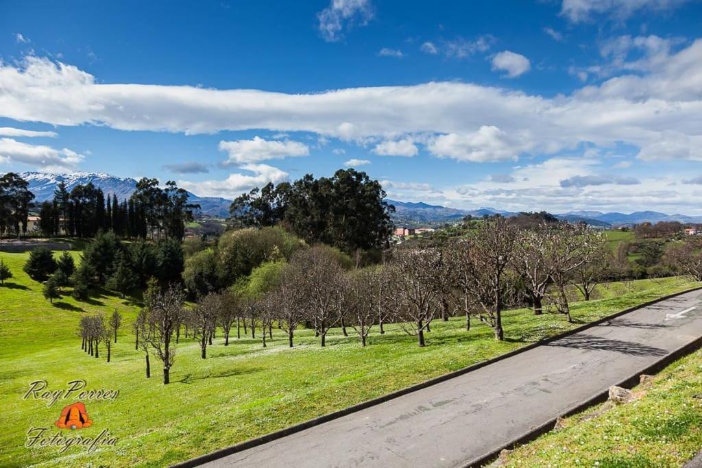 Appartamento ¡Al Lado De La Clinica Oftalmologica Vega! Oviedo Esterno foto